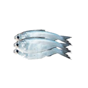 The Chapila Fish