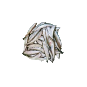 The Chela Pata Fish