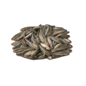 The Chiring Fish