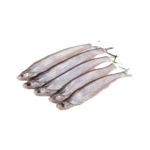 The Kajuli Fish
